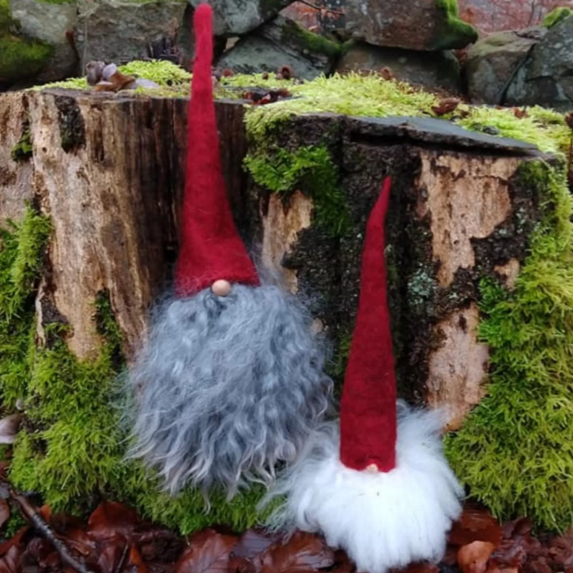 Asas Tomtebod The Original Tomte Gnome (Large) - 5 To Choose From | Tomte Gnomes